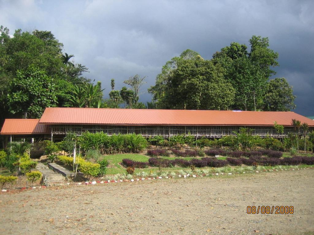Sabah Tea Garden-Longhouses Ranau Exterior foto