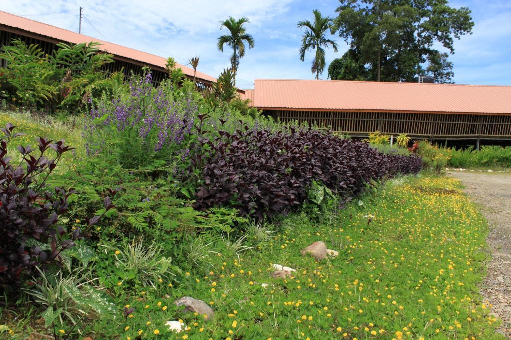 Sabah Tea Garden-Longhouses Ranau Exterior foto