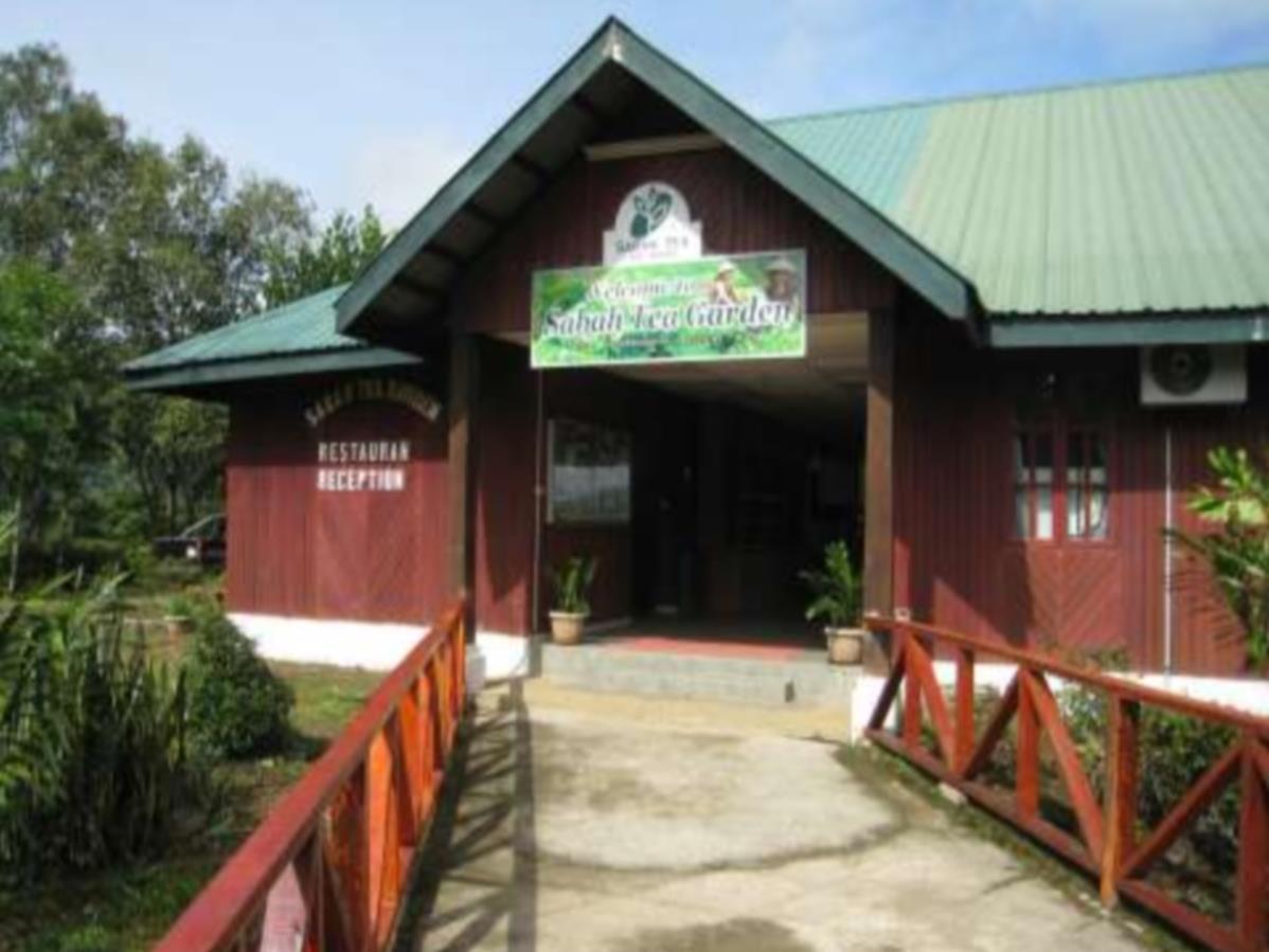 Sabah Tea Garden-Longhouses Ranau Exterior foto