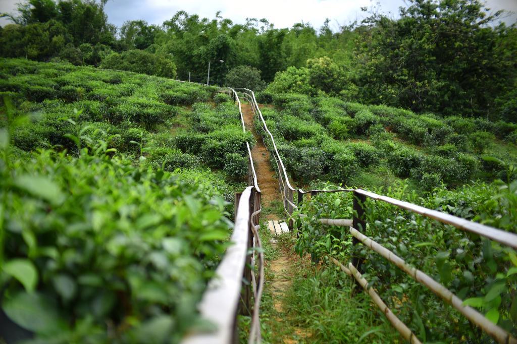 Sabah Tea Garden-Longhouses Ranau Exterior foto