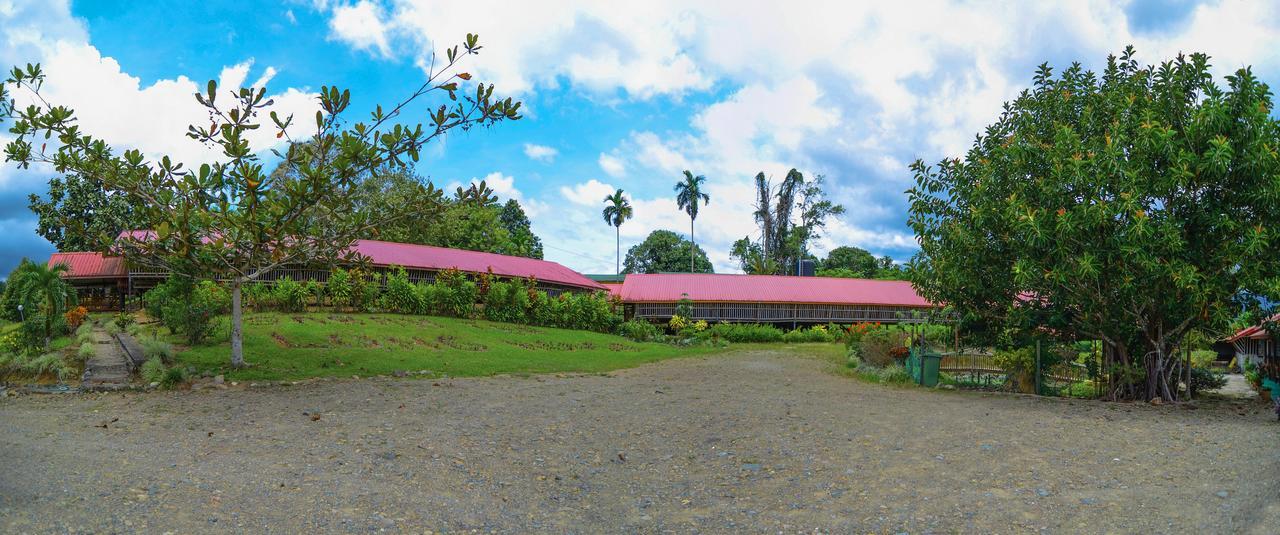 Sabah Tea Garden-Longhouses Ranau Exterior foto